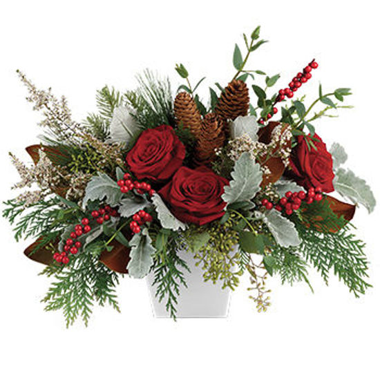 Christmas Blooms