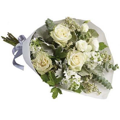Abelia
