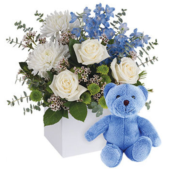 It's a Boy with Teddy