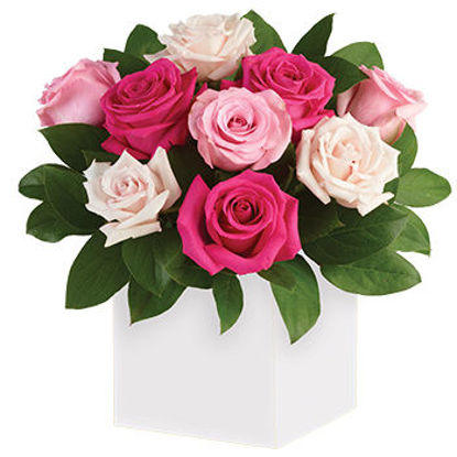 Blushing Roses