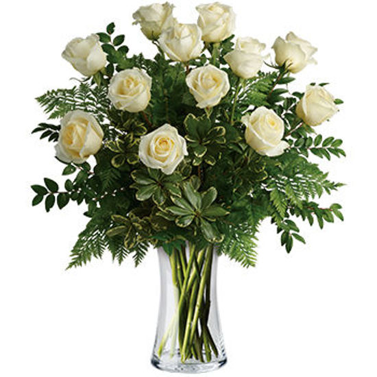 Joy of Roses