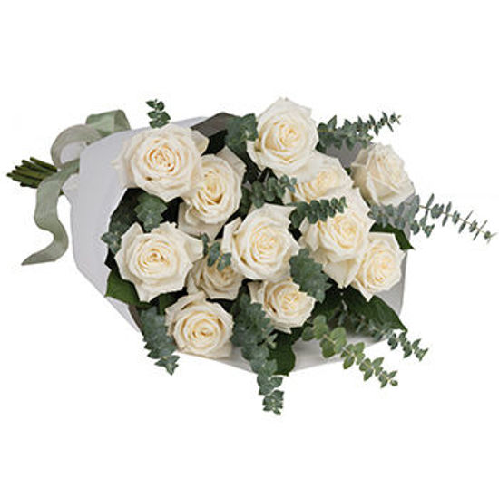 Dreamy White Dozen