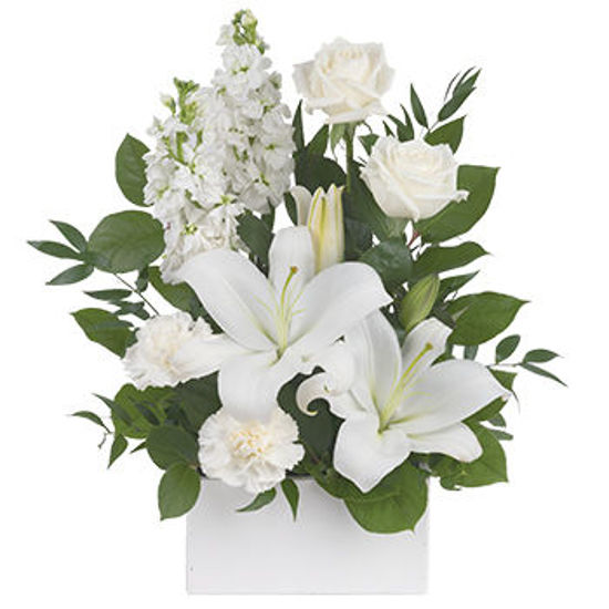 White Simplicity