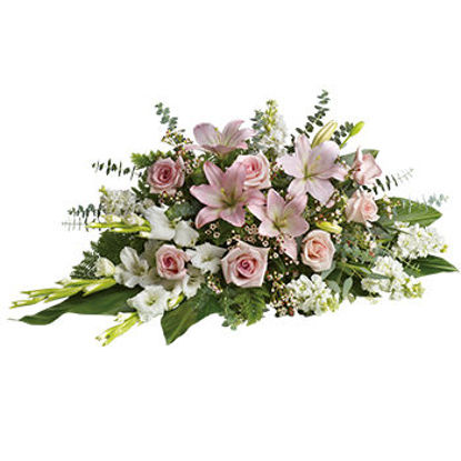 Tender Tribute