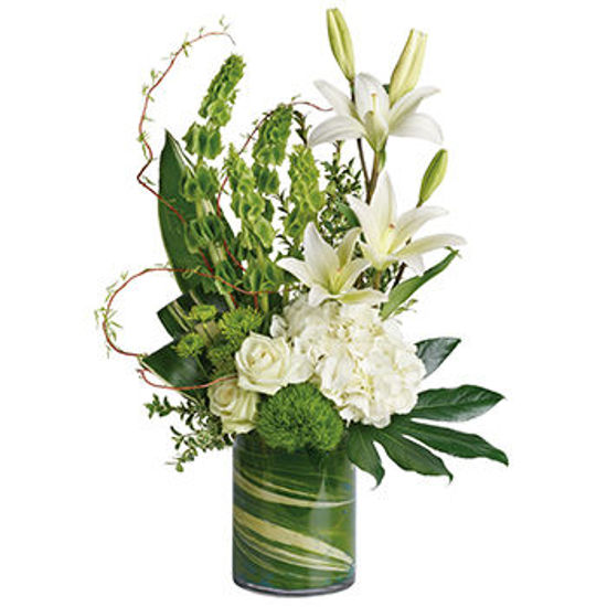 Botanical Beauty